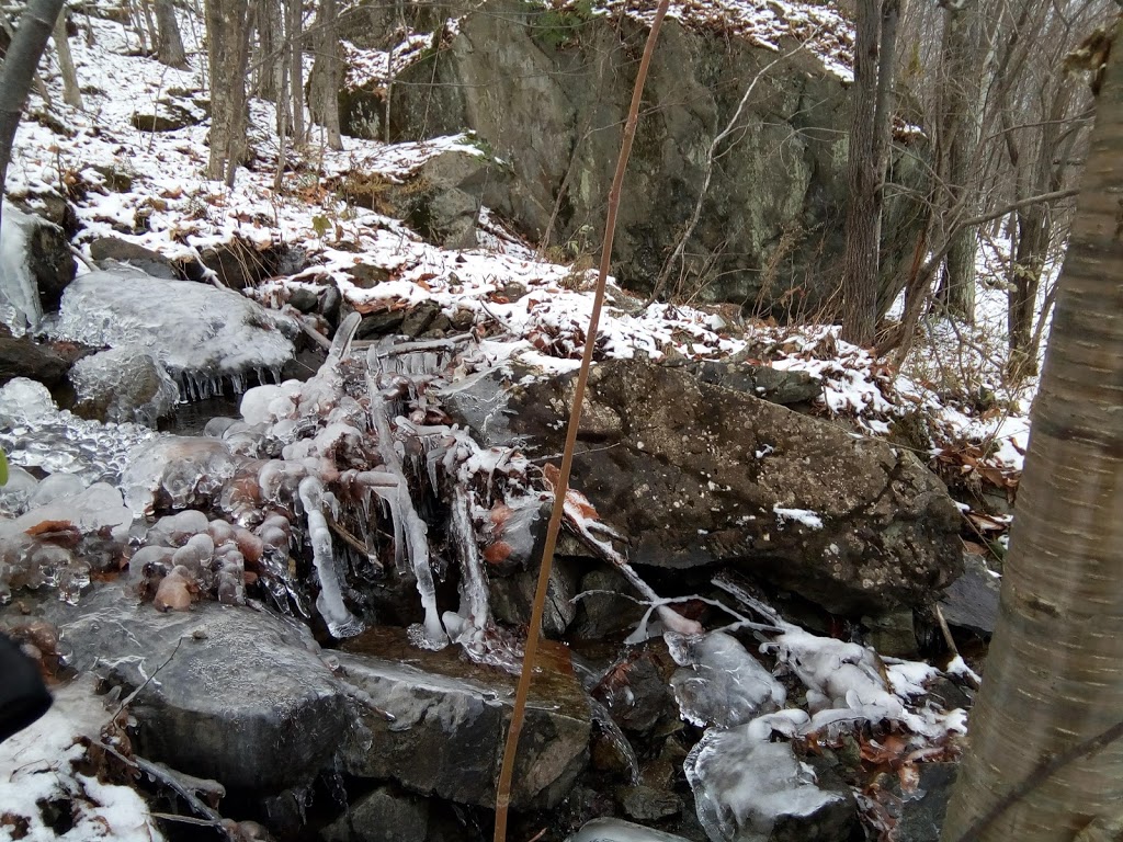 Bureau daccueil touristique de Labelle | 7900 Boulevard du Curé Labelle, Labelle, QC J0T 1H0, Canada | Phone: (819) 681-3371 ext. 5040