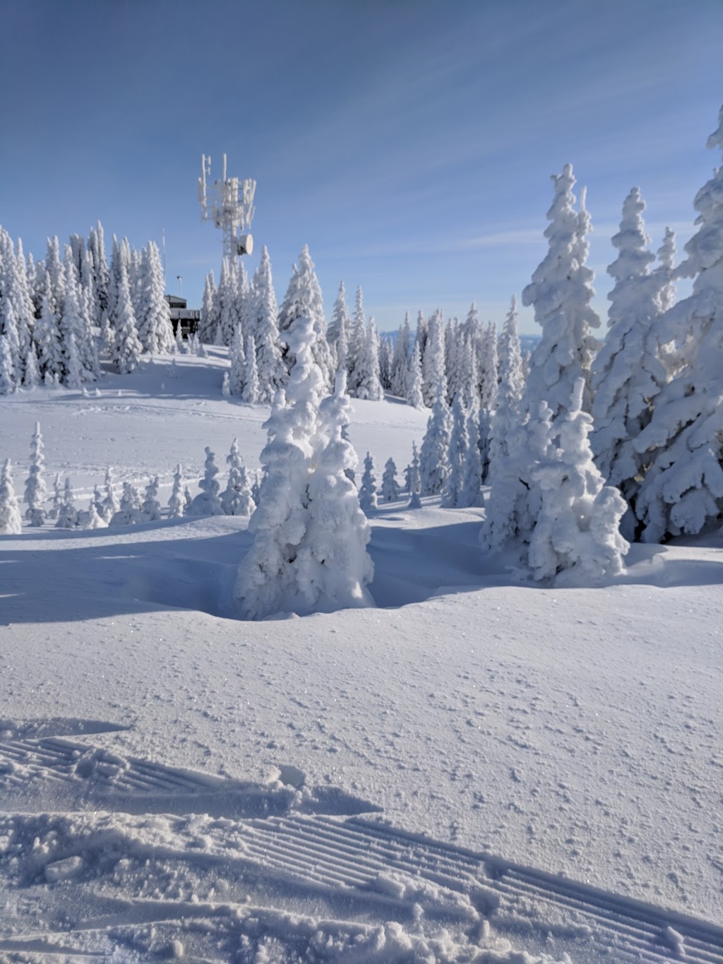 Silver Star Provincial Park | Vernon, BC V1B 3M6, Canada | Phone: (800) 689-9025