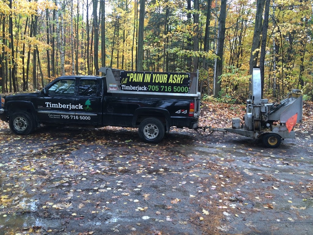 Timberjack Tree Service | 158074 7th Line, Meaford, ON N4L 1W5, Canada | Phone: (705) 716-5000