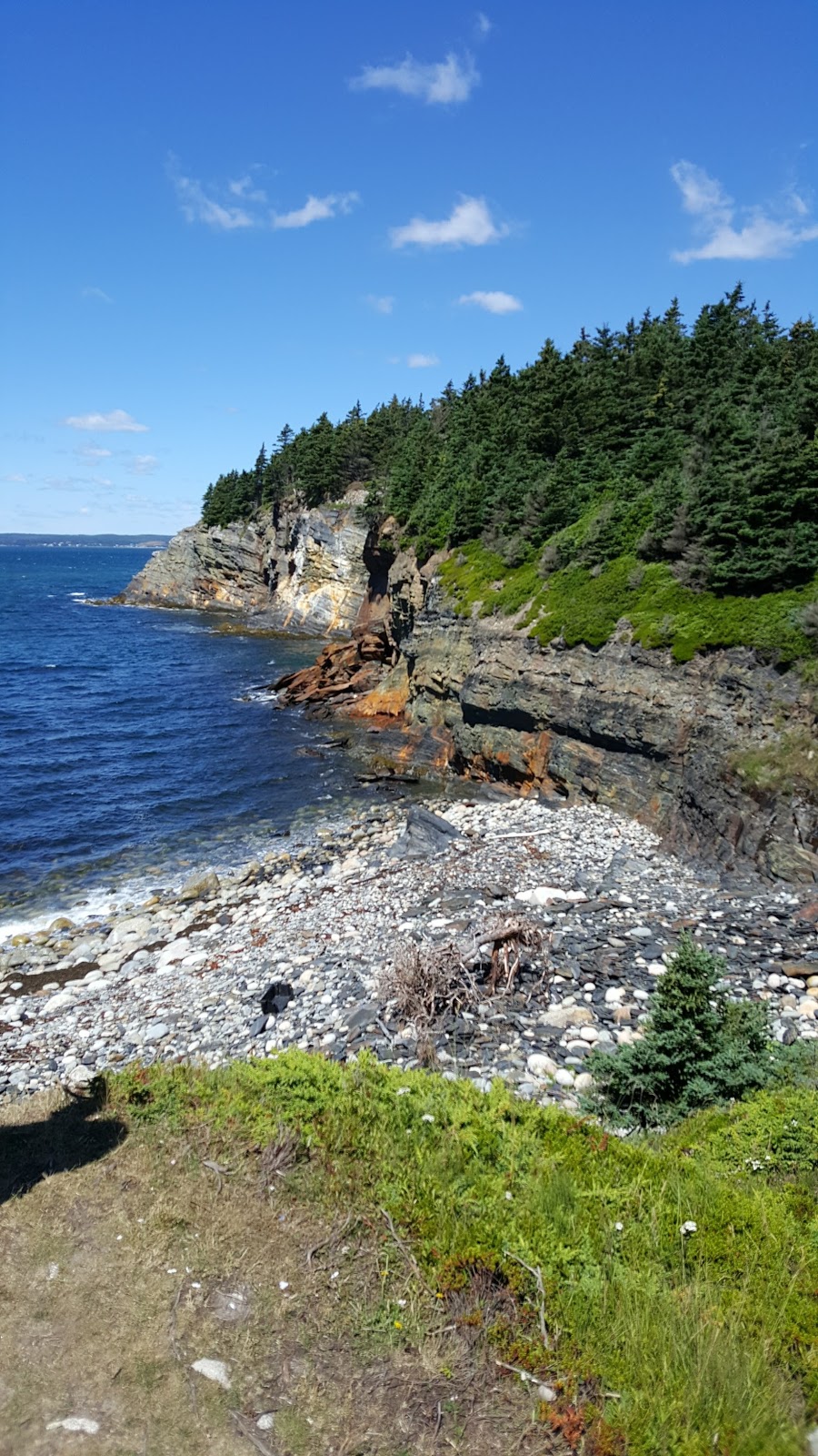 Gaff Point | Gaff Point Trail, Lunenburg, NS B0J 2W0, Canada