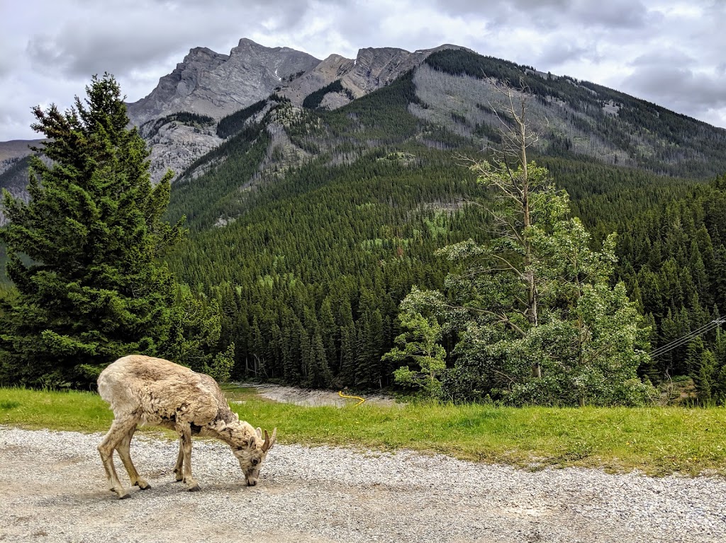 Two Jack Main Campground | Lake Minnewanka Scenic Dr, Alberta T0L 2C0, Canada | Phone: (877) 737-3783