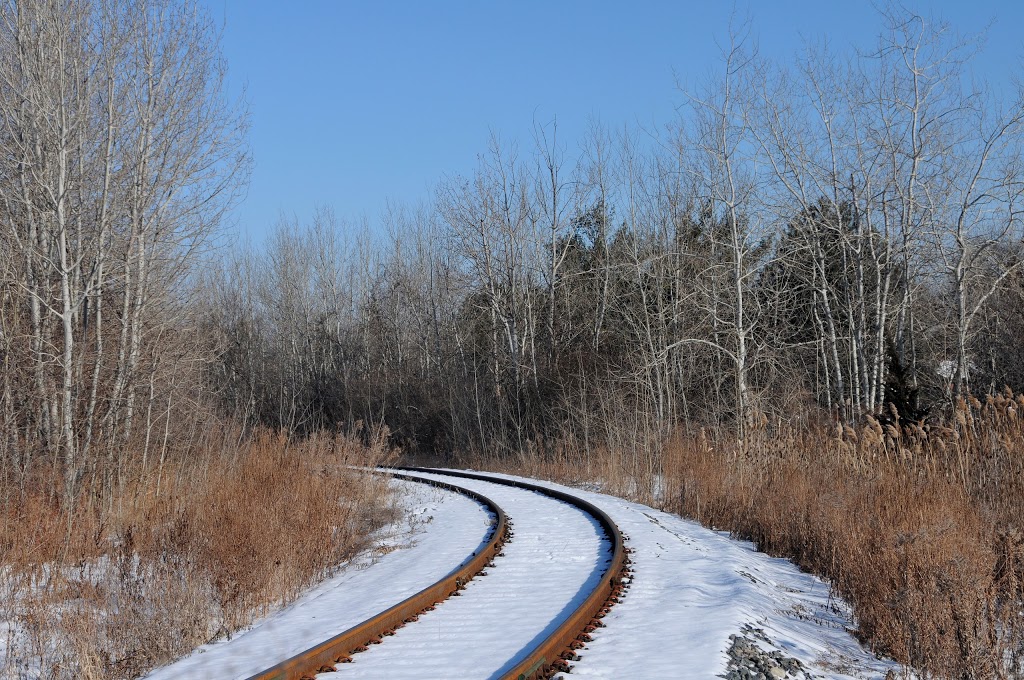 Aspen Forest Park | 455 Aspen Forest Dr, Oakville, ON L6J 6H6, Canada