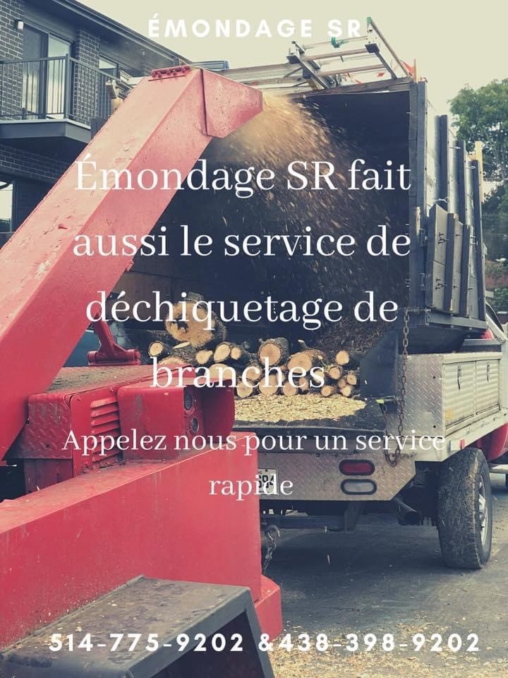 Émondage SR Inc | 398 Rue Mozart, Saint-Jean-sur-Richelieu, QC J3B 8T6, Canada | Phone: (514) 775-9202