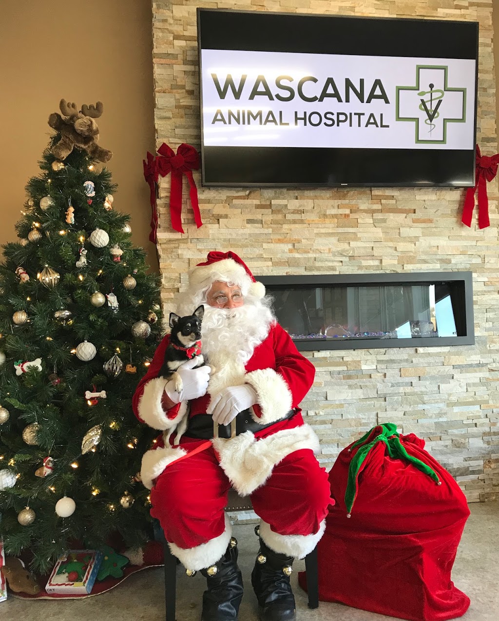 Wascana Animal Hospital | 3259 Eastgate Dr, Regina, SK S4Z 1A4, Canada | Phone: (306) 789-0918