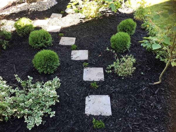 Basil Green Landscaping | 12311 McNeely Dr, Richmond, BC V6V 2S2, Canada | Phone: (778) 319-7381