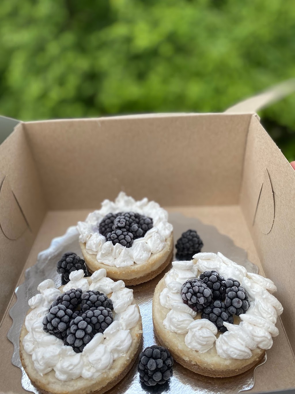 CeaseCake | Markham, ON L3T 7J9, Canada | Phone: (416) 998-3153