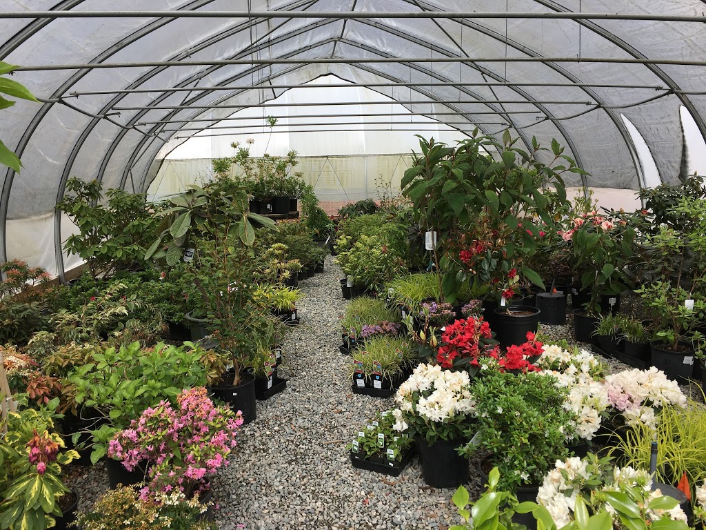 Its About Thyme Nursery Ltd | 7509 Meadow Ave, Burnaby, BC V5J 4Z2, Canada | Phone: (604) 454-0766