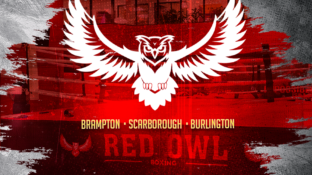 Red Owl Boxing | 952 Century Dr, Burlington, ON L7L 5P2, Canada | Phone: (877) 678-0367