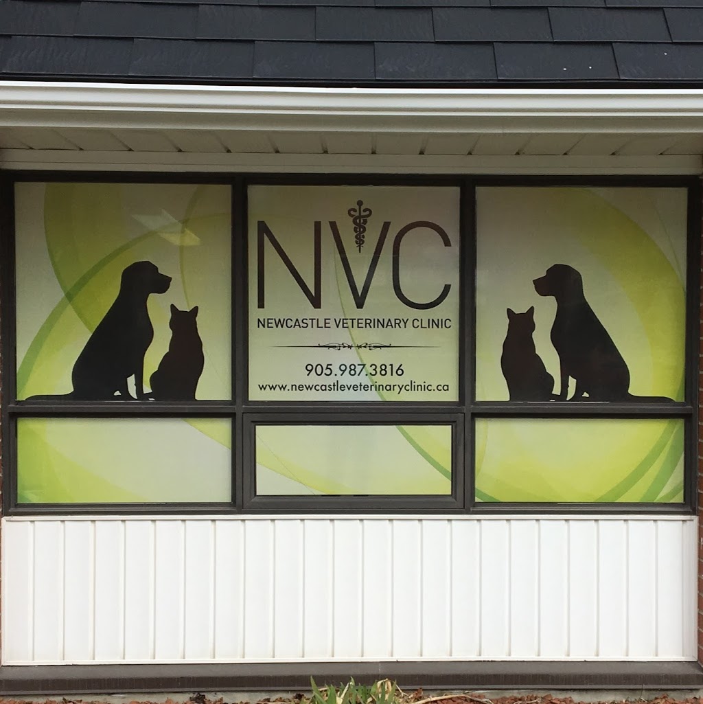 Newcastle Veterinary Clinic | 108 King Ave W, Newcastle, ON L1B 1H7, Canada | Phone: (905) 987-3816