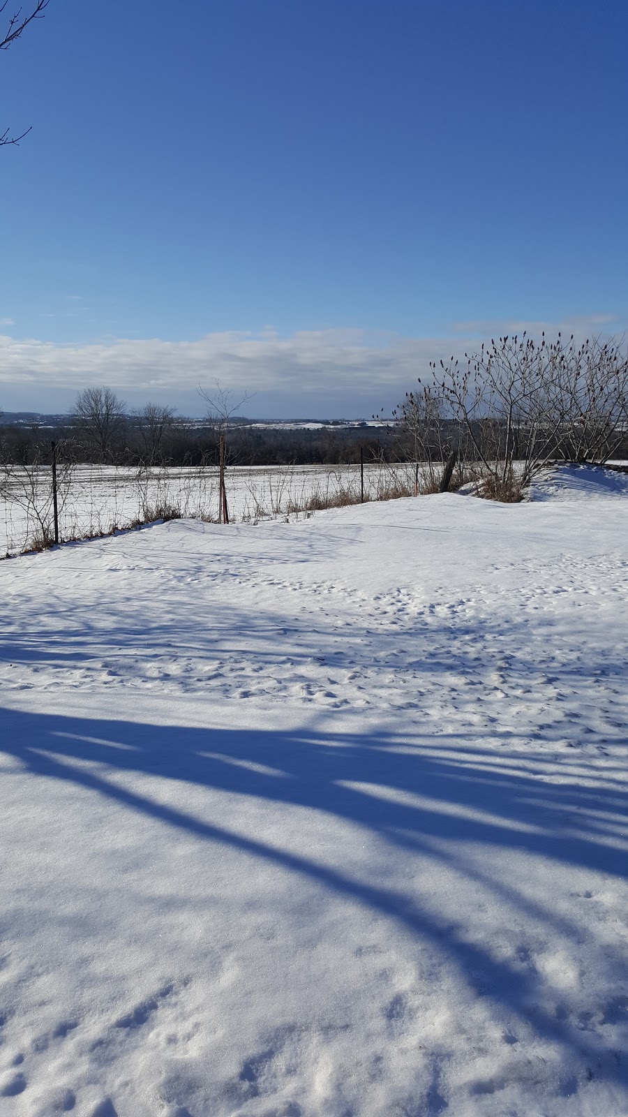 Saint John Cemetery | Lake Ridge Rd, Vallentyne, ON L0C, Canada