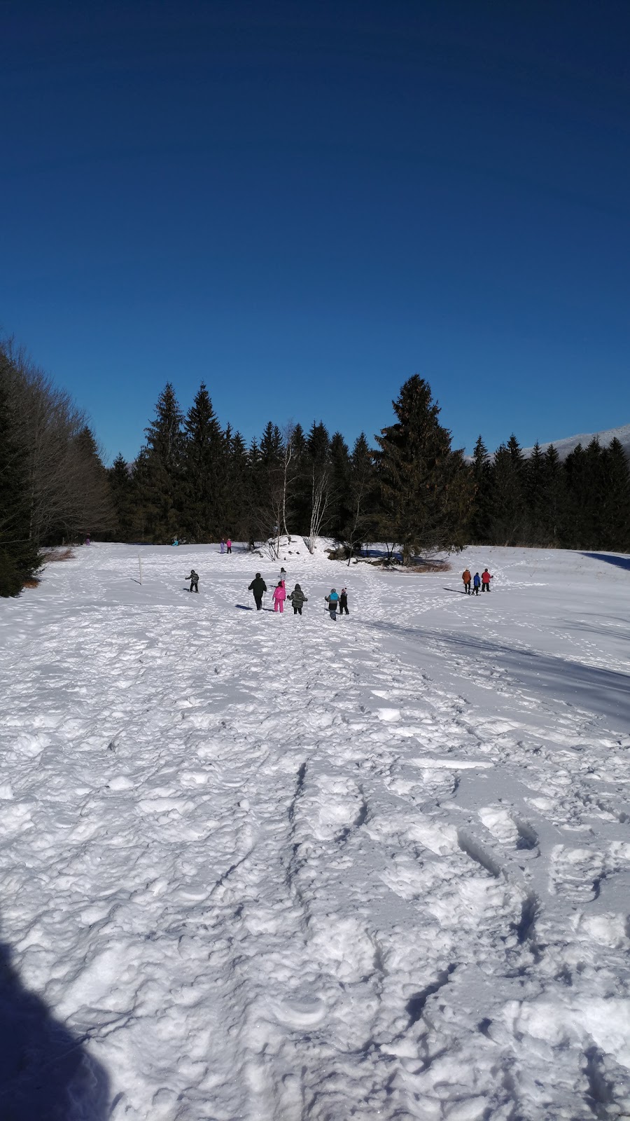 Hazens Notch Association | 1423 VT-58, Montgomery Center, VT 05471, USA | Phone: (802) 326-4799