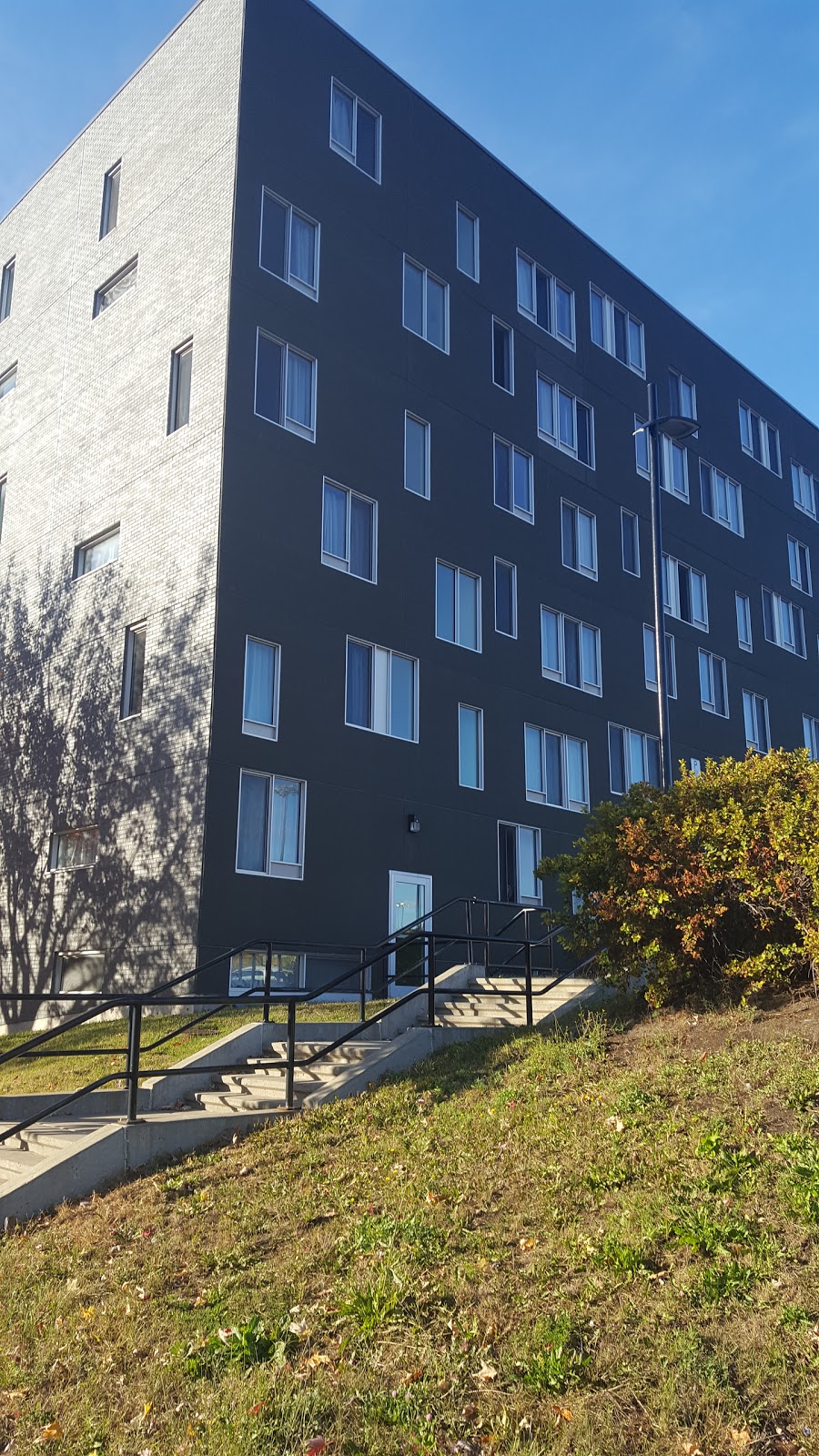 Résidence Du Collège Ahuntsic | 8755 Rue St-Hubert, Montréal, QC H2M 0A2, Canada | Phone: (514) 389-2124