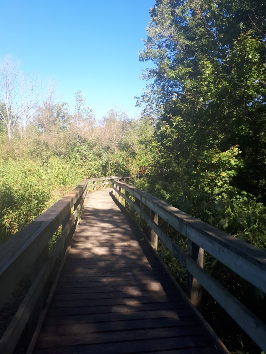 Bannockburn Trail | 76249 Bannockburn Line, Exeter, ON N0M 2R0, Canada