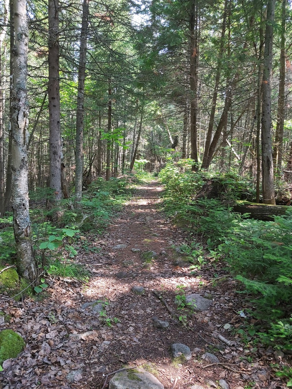 Camping Chutes Fraser | 500 Chem. de la Vallée, La Malbaie, QC G5A 1C2, Canada | Phone: (418) 665-2151