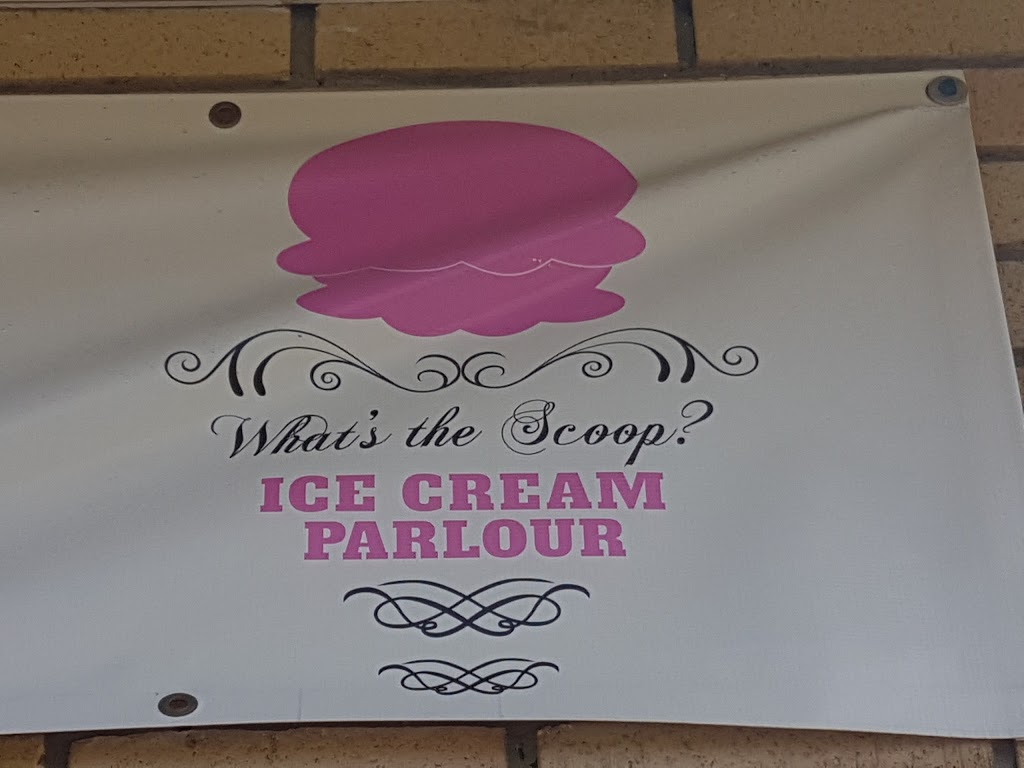 Whats the Scoop? | 5 Downey Ave, Alliston, ON L9R 1J7, Canada