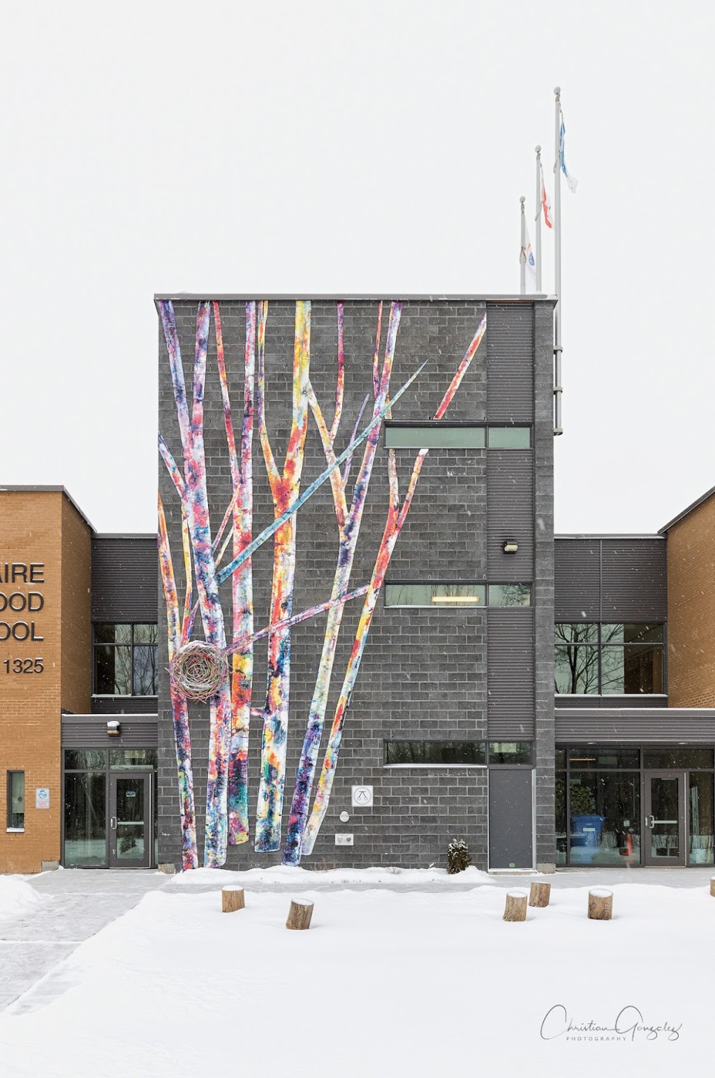 Birchwood Elementary | 1325 Rue Jolicoeur, Saint-Lazare, QC J7T 1Z4, Canada | Phone: (514) 798-8757