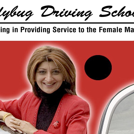 Ladybug driving school | 931 Brunette Ave, Coquitlam, BC V3K 6T5, Canada | Phone: (604) 780-9571