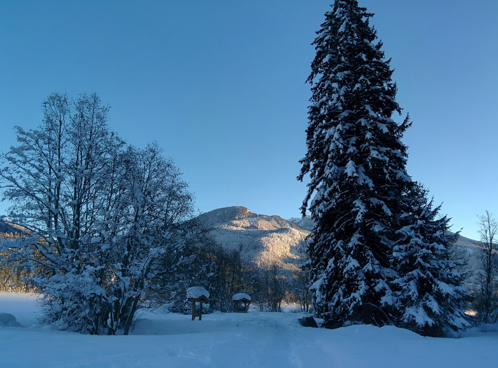 Blueberry Beach Park North | Whistler, BC V0N 0A0, Canada | Phone: (604) 764-6553