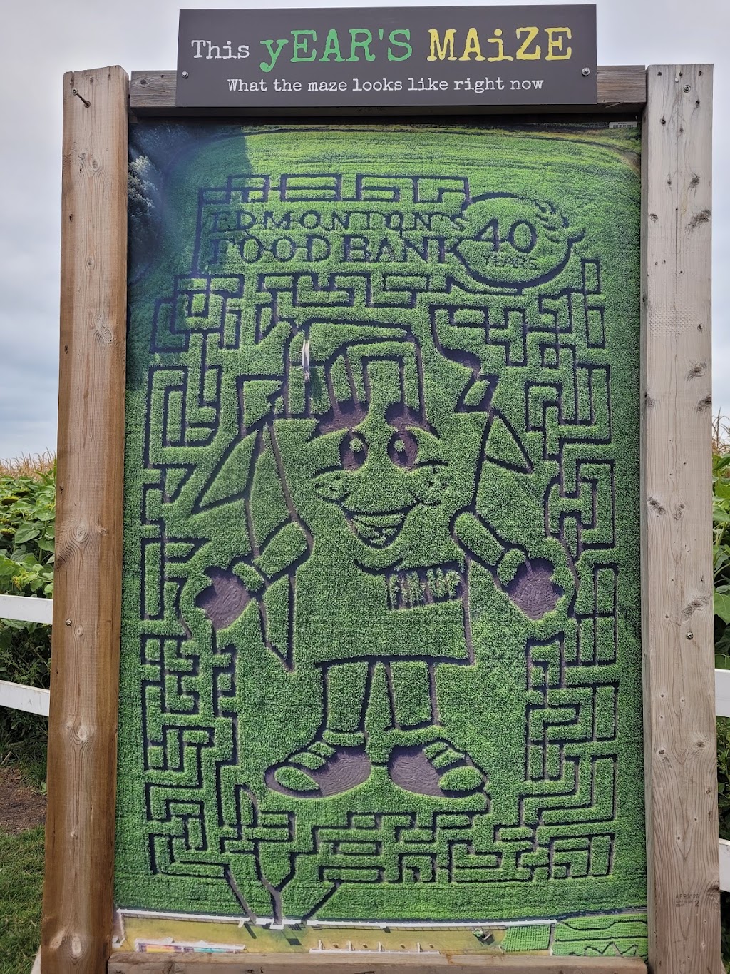 Edmonton Corn Maze | 26171 Secondary Hwy 627, Spruce Grove, AB T7Y 1B3, Canada | Phone: (825) 535-3600