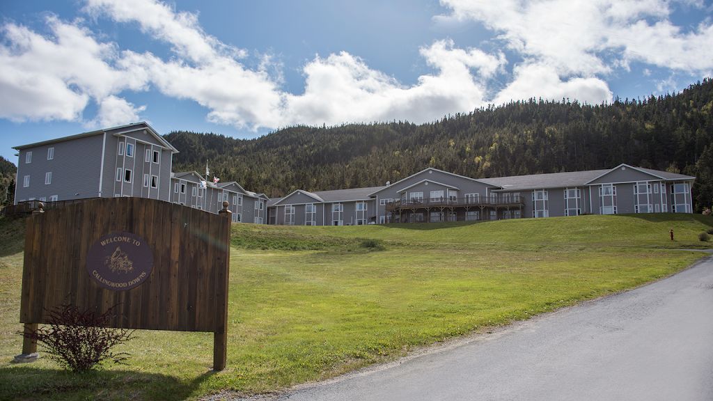 Callingwood Downs Retirement Residence | 40 Dawes Ave, Clarkes Beach, NL A0A 1W0, Canada | Phone: (709) 786-1850