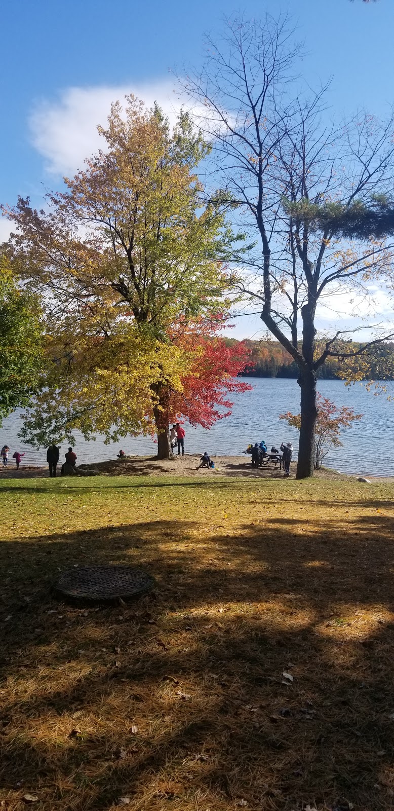 Breton Beach | Chemin du Lac-Philippe, La Pêche, QC J0X 2W0, Canada