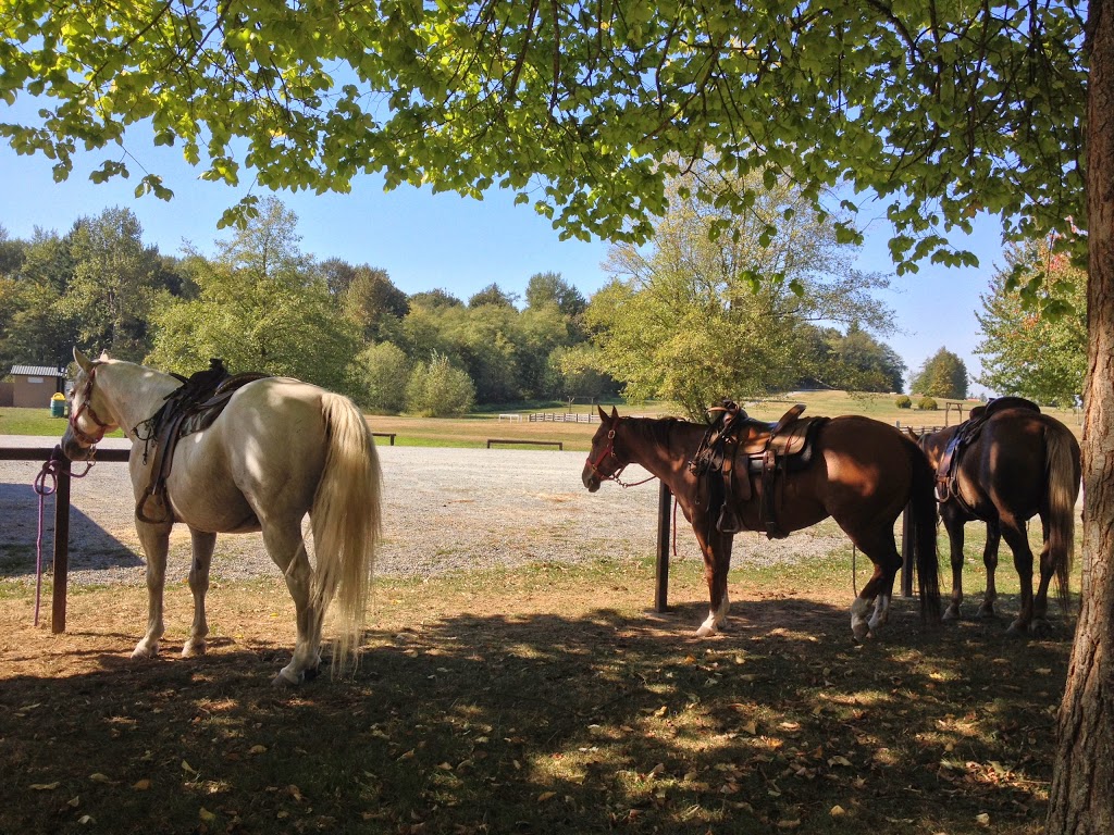 Glen Valley Stables | 1255 208 St, Langley City, BC V2Z 1T4, Canada | Phone: (778) 710-1941