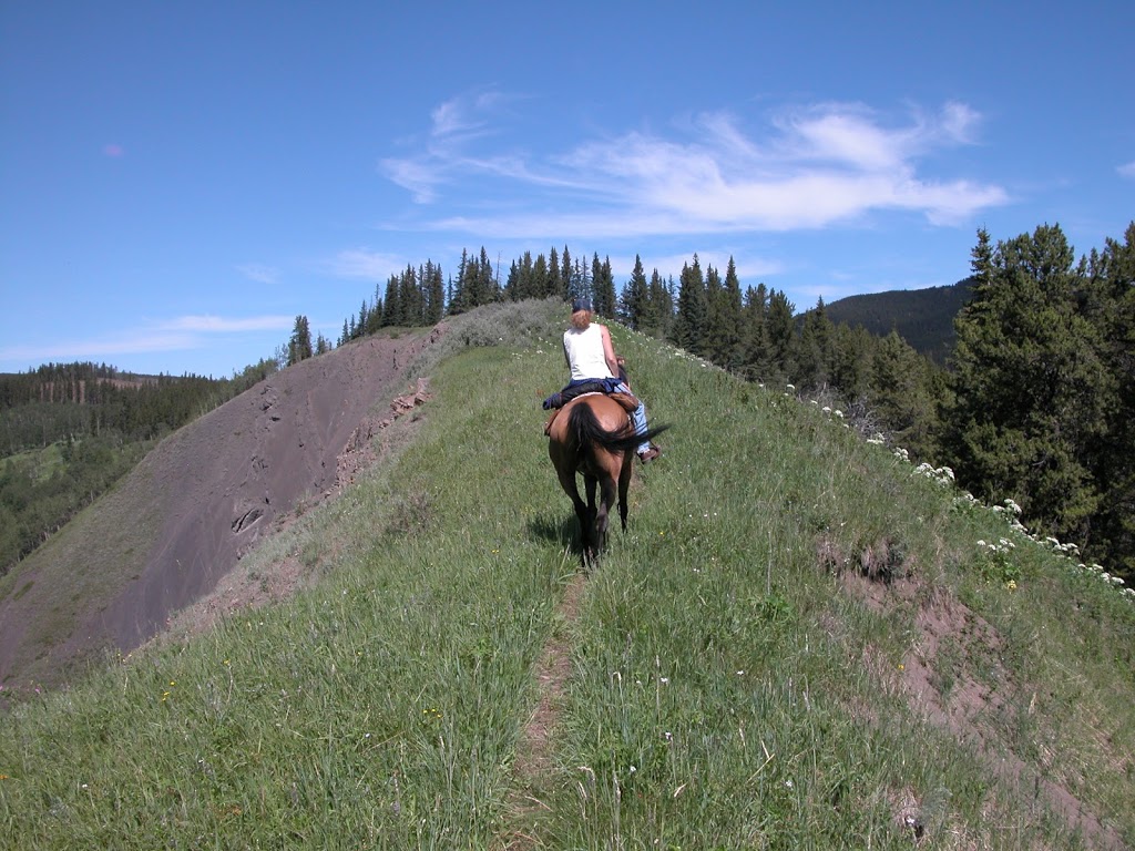 Hogsback Trail | Kananaskis, AB T0L 0K0, Canada