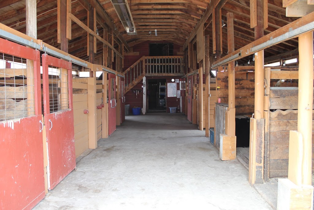 Park Stables | 33041 Springbank Rd, Calgary, AB T3Z 3H1, Canada | Phone: (587) 888-6203