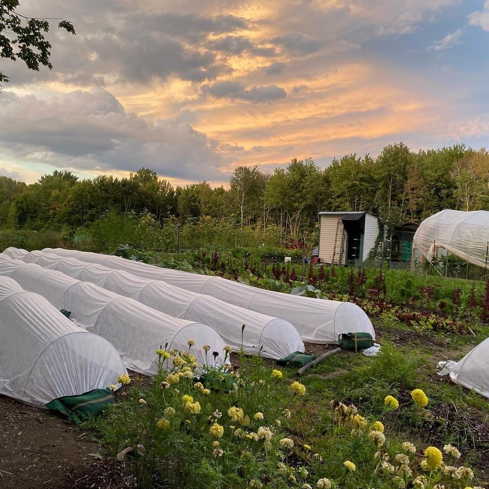 La Petite Ferme Locale | 2359 Bd Perrot, Notre-Dame-de-lÎle-Perrot, QC J7V 8P4, Canada | Phone: (514) 583-8768