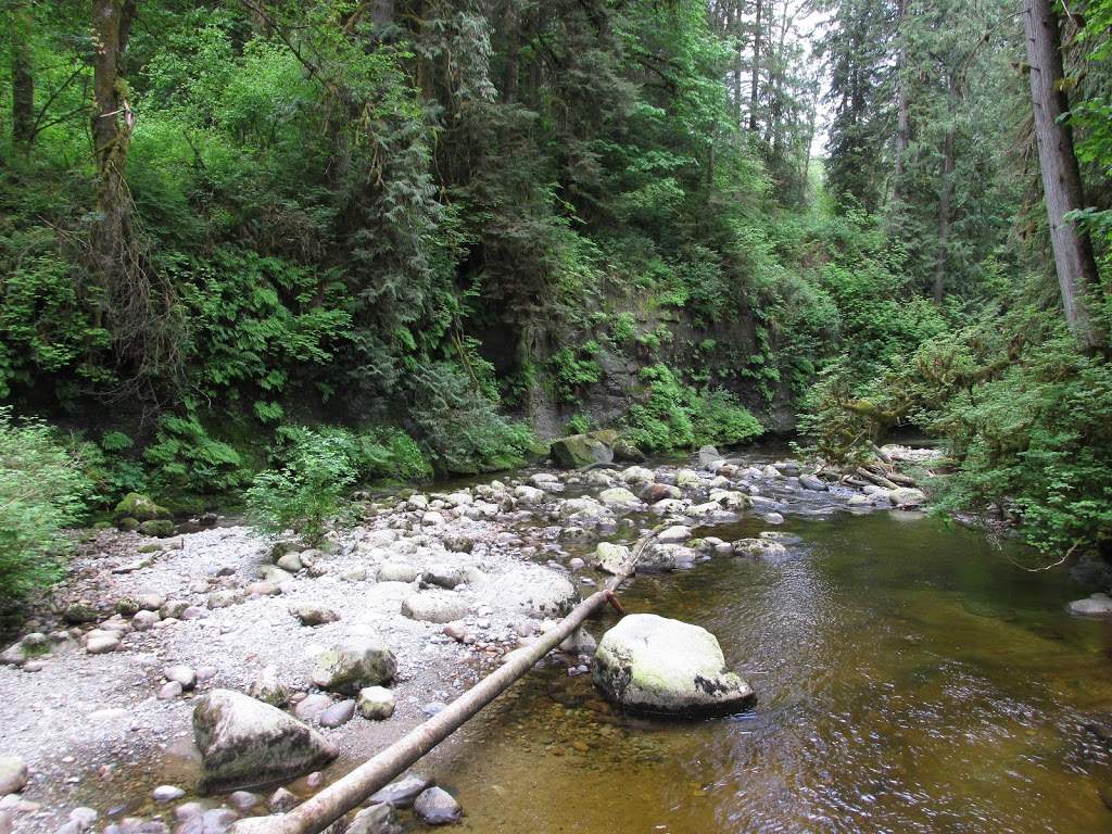 North Fork Loop Trail, | N Fork Loop Trail, Maple Ridge, BC V4R 1E3, Canada