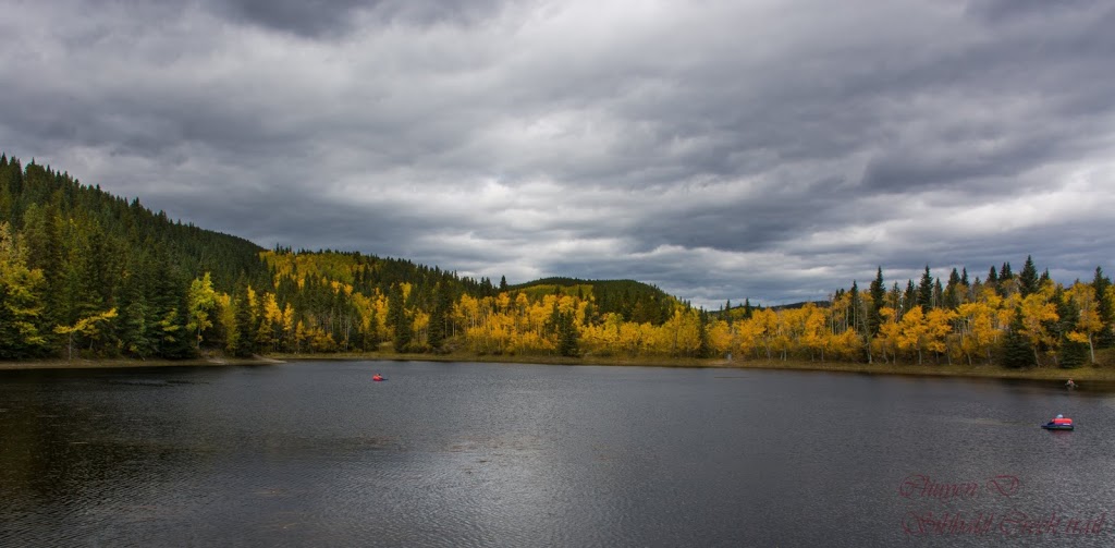 Sibbald Lake Provincial Campground | 7116 AB-68, Bragg Creek, AB T0L 0K0, Canada | Phone: (403) 673-2163