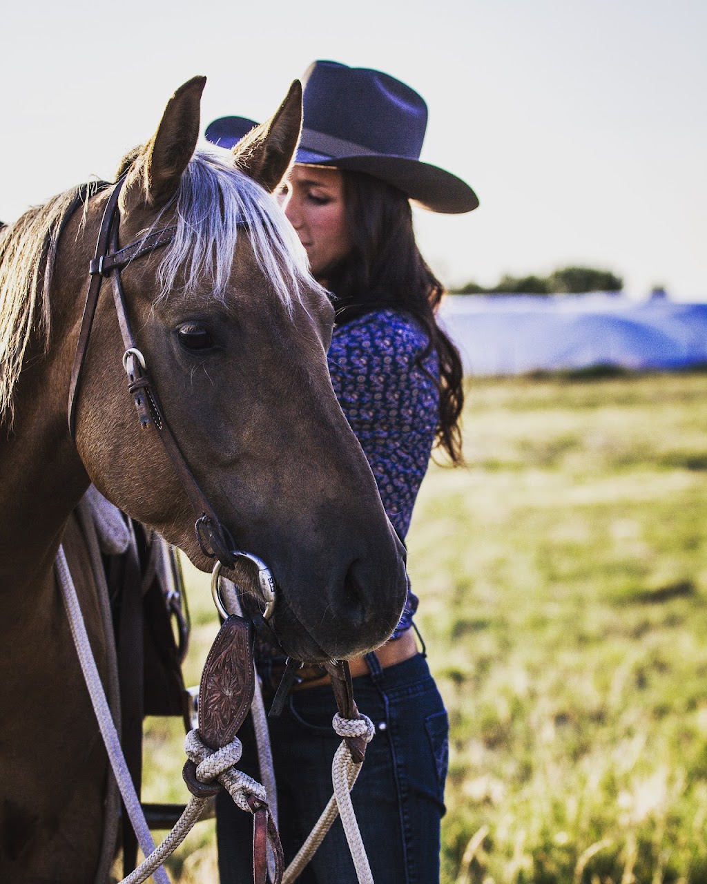 3R Horsemanship | Twp Rd 4-0 175045, Warner, AB T0K 2L0, Canada | Phone: (403) 795-2842