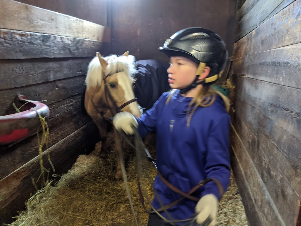 Fiddlers Green Stables | 6575 Flewellyn Rd, Ottawa, ON K2S 1B6, Canada | Phone: (613) 858-9366