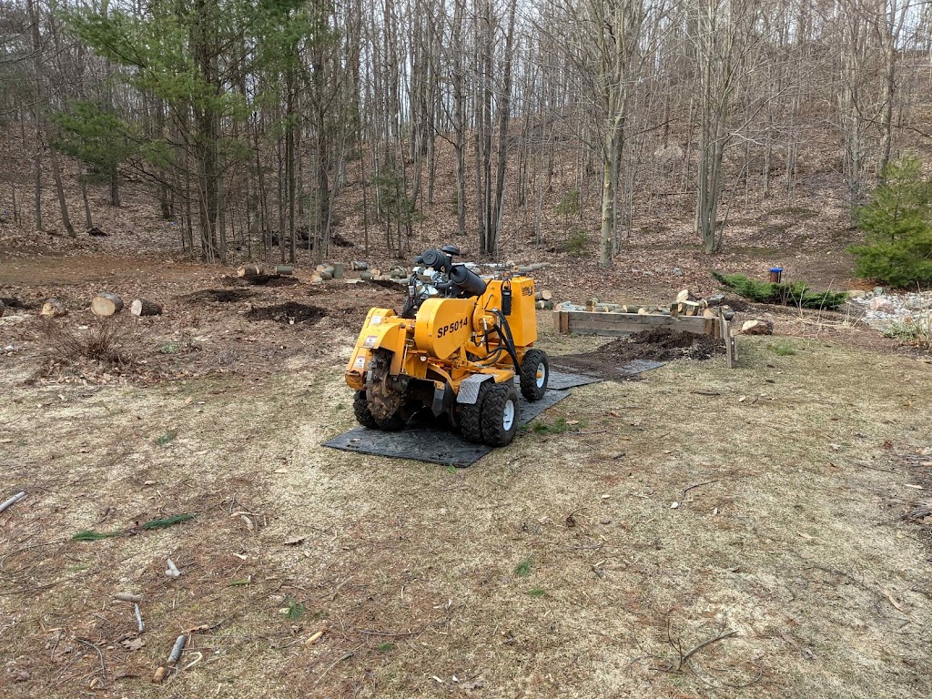 RTE Stump Grinding and Tree Service South | 1237 Concession 5 W, Waterdown, ON L0R 2H2, Canada | Phone: (905) 699-5029