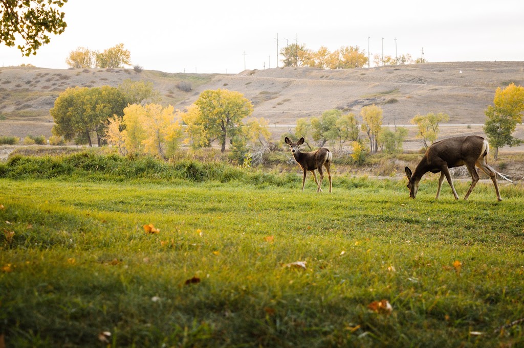 Taber Municipal Park | 101046 HWY 864, Taber, AB T1G 2B1, Canada | Phone: (403) 223-0091