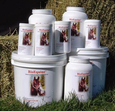 BioEquine Animal Supplements | 31319 Range Road 55, County Mountain View, Box 35, Site 2, RR 2, Sundre, AB T0M 1X0, Canada | Phone: (403) 638-3356