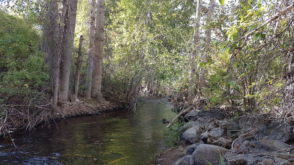 Grist Mill Campground | 2691 Upper Bench Rd, Keremeos, BC V0X 1N4, Canada | Phone: (250) 499-2888