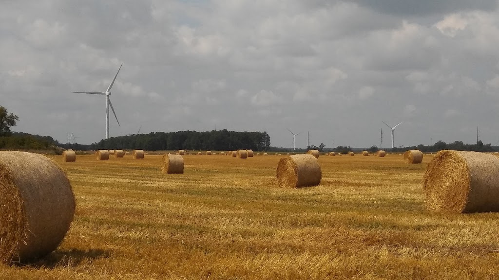 Dufferin Wind Power | 705280-705418, Dufferin County Rd 21, Shelburne, ON L0N 1S6, Canada | Phone: (519) 925-5599