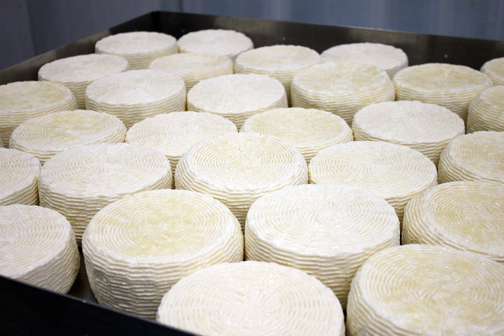 Ferrante Cheese | 5732 York Regional Rd 7 #23, Woodbridge, ON L4L 3A2, Canada | Phone: (905) 851-2073