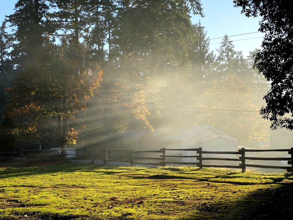 Mayne Island Agricultural | 430 Fernhill Rd, Mayne Island, BC V0N 2J0, Canada | Phone: (250) 539-5990