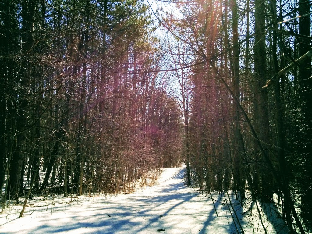 Oak Ridges Trail | King, ON L7B 1A3, Canada