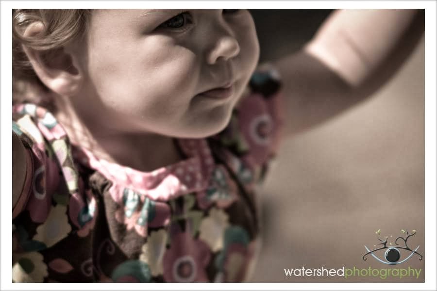 Watershed Photography | 21647 89a Ave, Langley City, BC V1M 4C6, Canada | Phone: (604) 671-2173