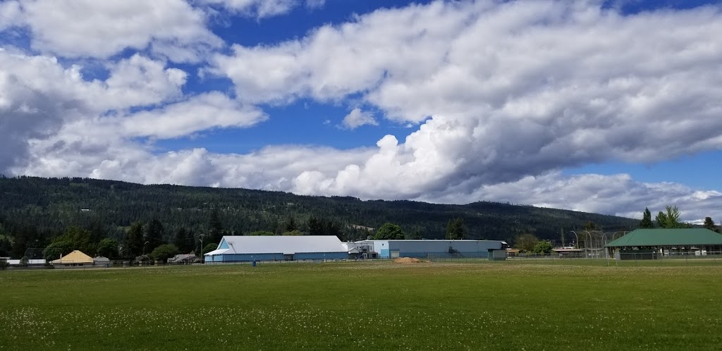 Enderby Riverside Park and Ball Diamonds | 501 Kildonan Ave #203, Enderby, BC V0E 1V2, Canada | Phone: (250) 838-2665