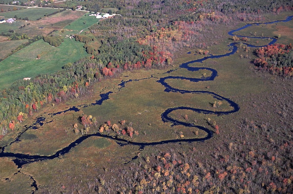 Lake Simcoe Region Conservation Authority (LSRCA) | 120 Bayview Pkwy, Newmarket, ON L3Y 3W3, Canada | Phone: (905) 895-1281