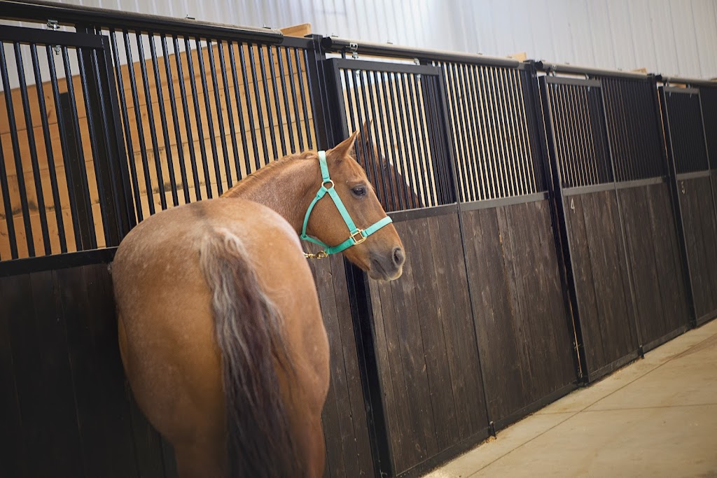 Endurance Equine | 442052 RR252, Ponoka, AB T4J 1R2, Canada | Phone: (403) 505-3046