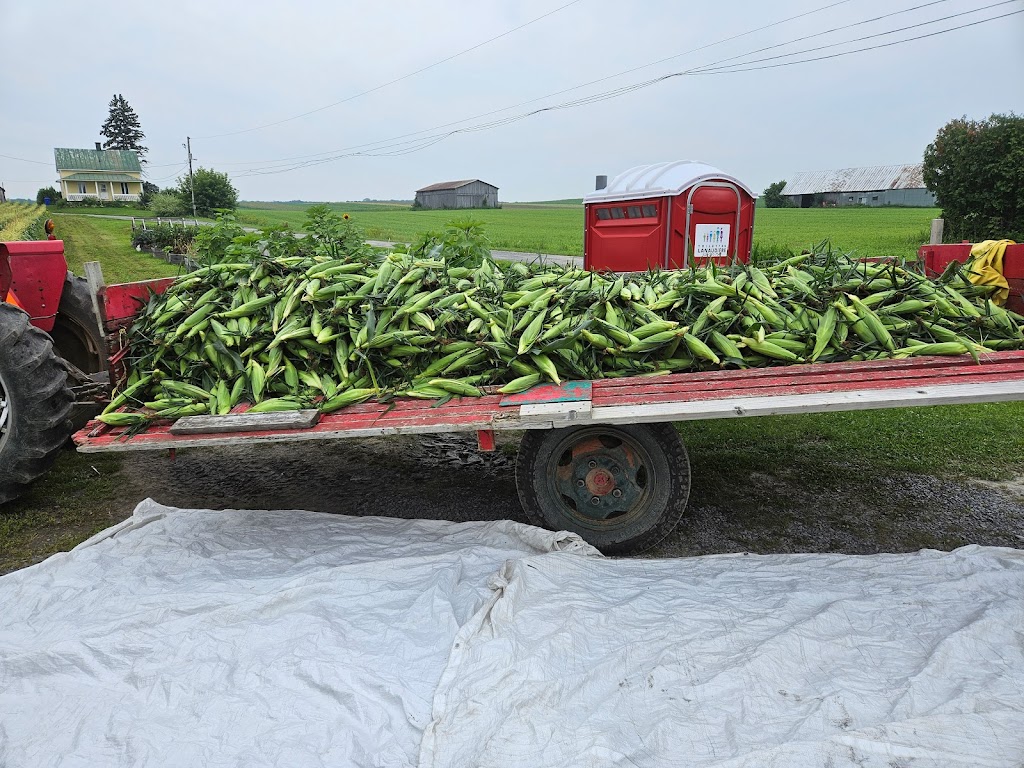 Ferme Briho-Bel | 2487 Rang Saint-Jacques, Saint-Jacques, QC J0K 2R0, Canada | Phone: (438) 372-8188