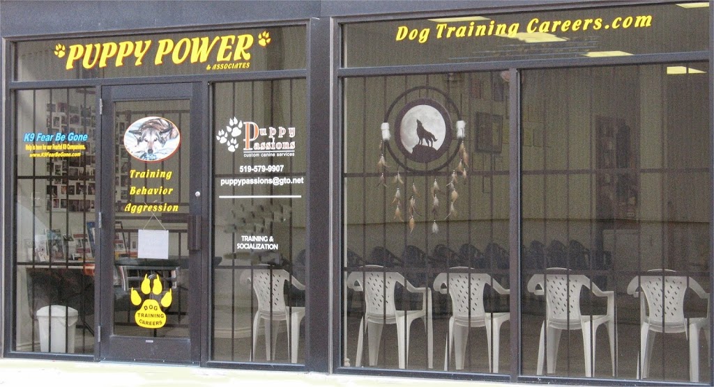 Puppy Power Dog Training - Boarding & Daycare Location | 1956 Shantz Station Rd, Breslau, ON N0B 1M0, Canada | Phone: (519) 781-8701