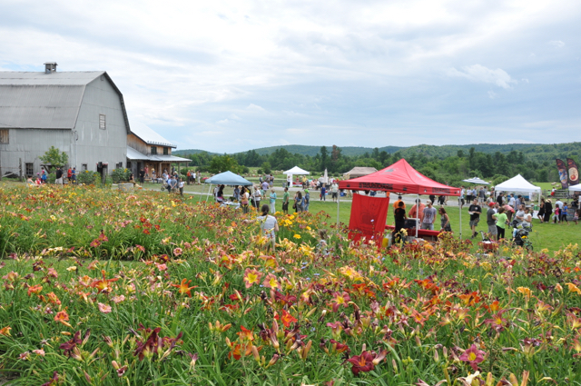 Hendrick Farm | 193 Chem. Ladyfield, Chelsea, QC J9B 0B3, Canada | Phone: (613) 907-0130