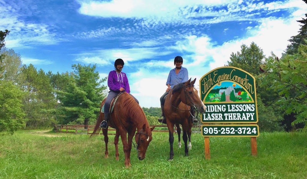 Faith Equine Connection | 4981 Vivian Rd, Cedar Valley, ON L0G 1E0, Canada | Phone: (905) 252-3724