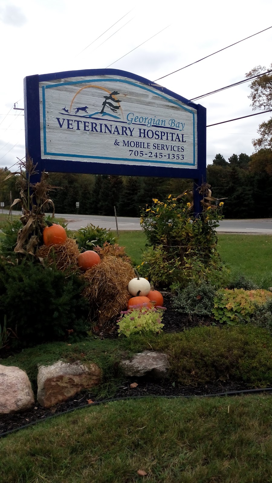 Georgian Bay Veterinary Hospital & Mobile Services | 2 Concession Rd 9 E, Tiny, ON L0L 2J0, Canada | Phone: (705) 245-1353